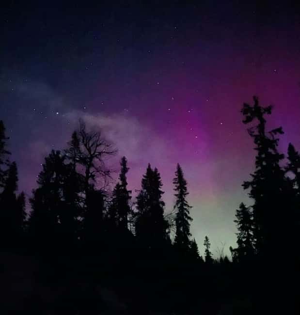 Sälen: Northern Lights Snowshoe Adventure with Pickup - Pickup in Sälen and the ride to Köarskärsfjället