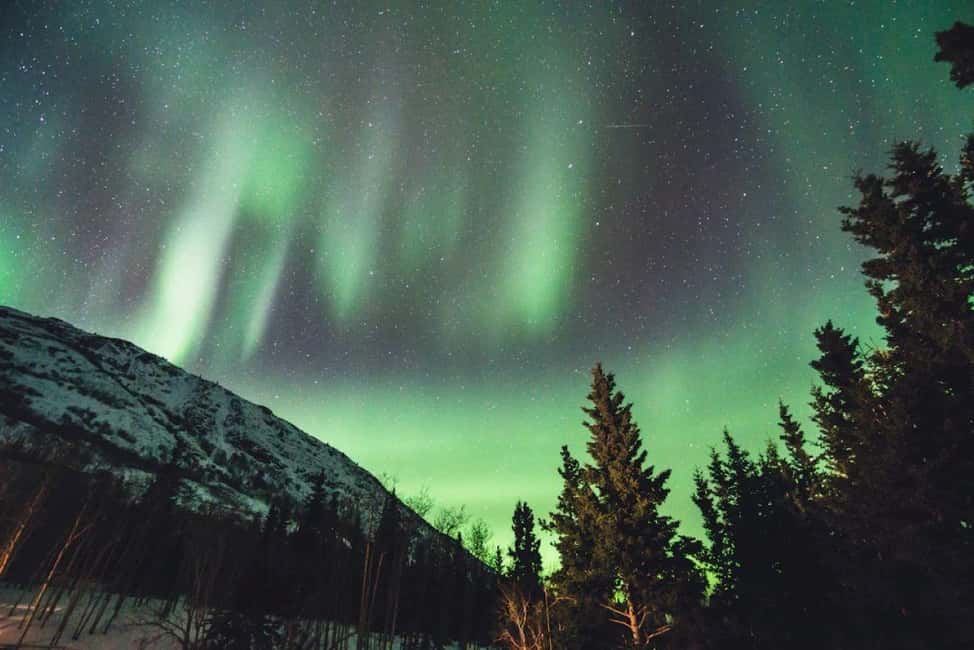 Sälen: Northern Lights Snowshoe Adventure with Pickup - Waiting for the Northern Lights