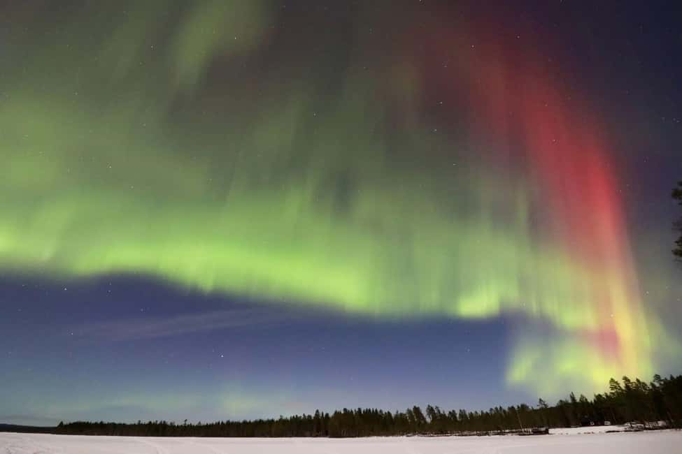 Sälen: Northern Lights Snowshoe Adventure with Pickup - Learning to walk on snowshoes