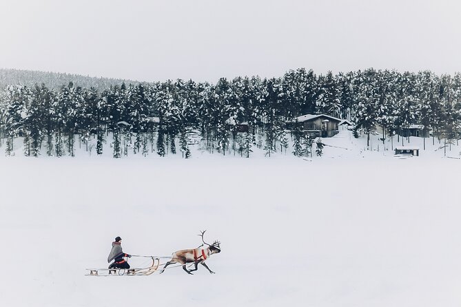 Sami day tour adventure - Key points to know before you book
