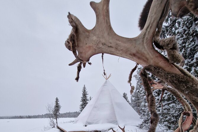 Sami day tour adventure - Learning about weather and Sami traditions