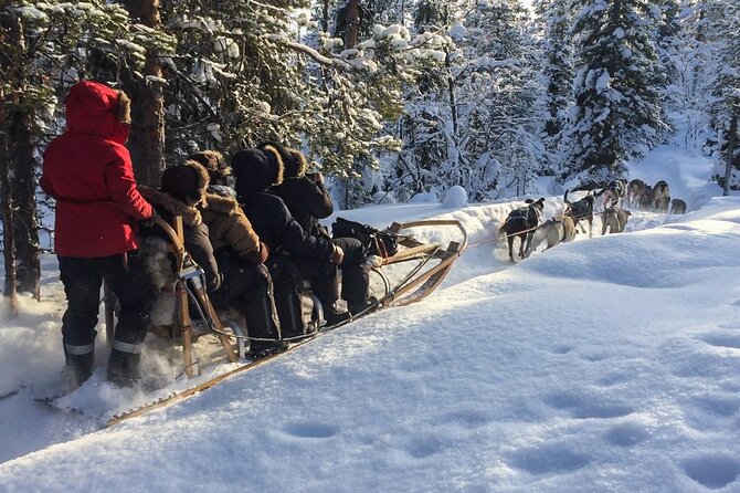 Sit Down Husky Ride Dog Sled Tour in Kiruna - The best parts of this Kiruna husky tour