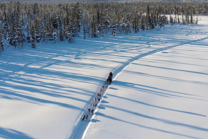 Sit Down Husky Ride Dog Sled Tour in Kiruna - Coffee, cake, and fire inside the lavvu