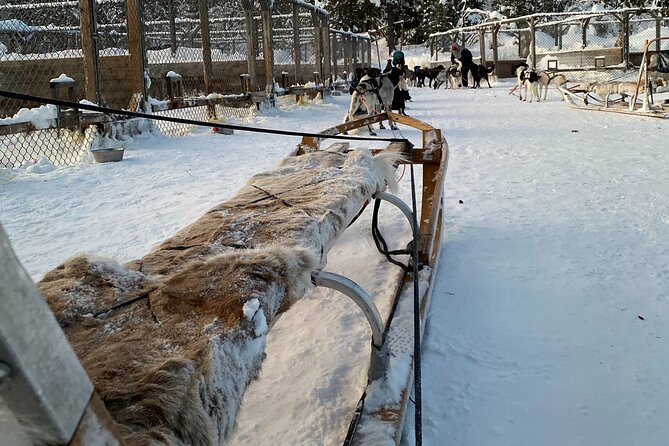 Sit Down Husky Ride Dog Sled Tour in Kiruna - Cold-weather tips for a smoother morning