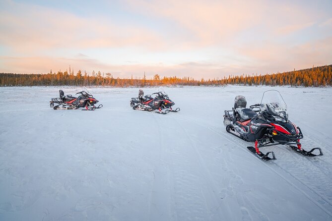 Snowmobile Adventure in Lapland: Guided Tour from Kiruna - The guides are a major part of the value