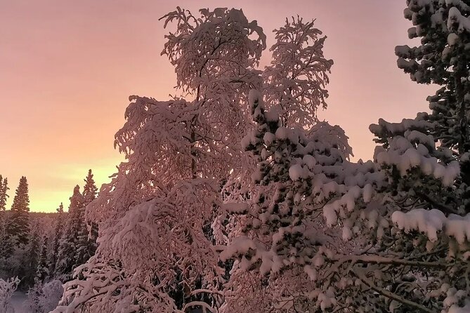 Snowmobile Adventure in Lapland: Guided Tour from Kiruna - Getting ready for the first turn