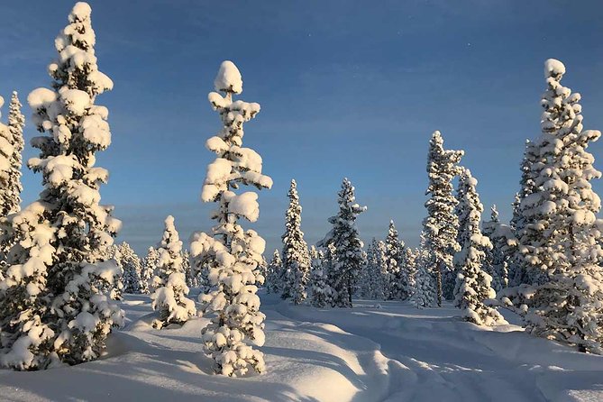 Snowmobile Arctic Adventure - What the price includes, and what it does not