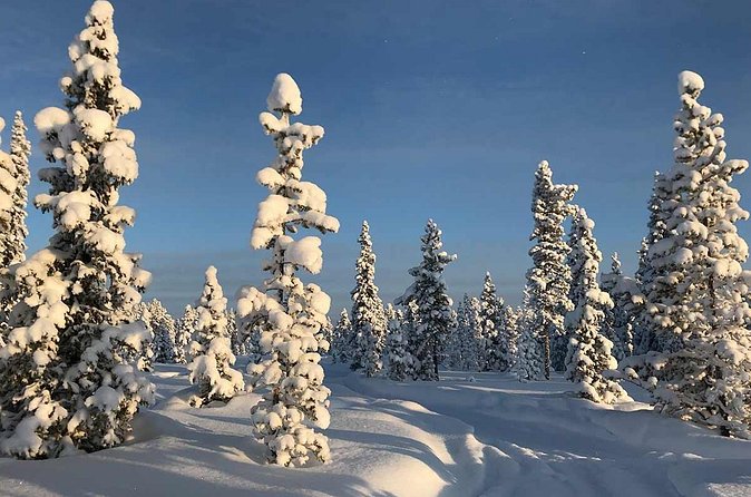 Snowmobile Arctic Adventure - Who should book this Kiruna snowmobile tour?