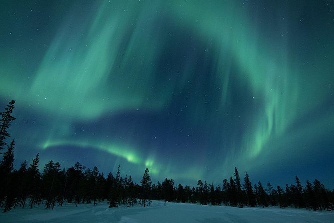 Snowmobile Aurora Expedition with dinner - Key points before you book