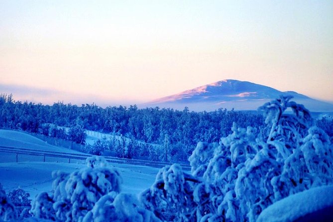 Snowmobile Safari to Lapland viewpoint - Returning to the lodge for a two-course lunch
