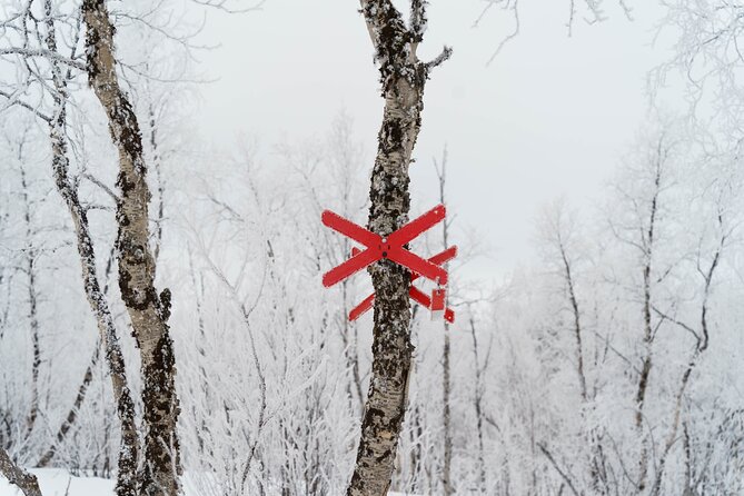 Snowmobile Tour in Kiruna - Setting out from Kiruna’s winter edge