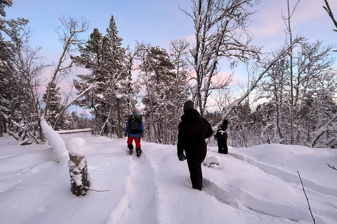 Snowshoe in a Winter Forest - Key points at a glance