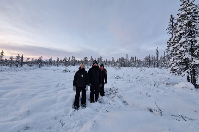 Snowshoe in a Winter Forest - Reading the forest through animal tracks