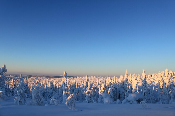Snowshoe in a Winter Forest - Anders brings Kiruna and the forest together