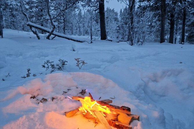 Snowshoe in a Winter Forest - A campfire break with berry juice and Kangoskaka