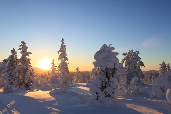 Snowshoe in a Winter Forest - Timing, meeting points, and clothing tips