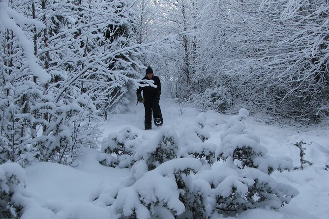 Snowshoe in a Winter Forest - Learning to walk on snowshoes