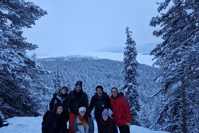 Snowshoe up a Mountain - Why a short winter walk can feel like a real Arctic outing