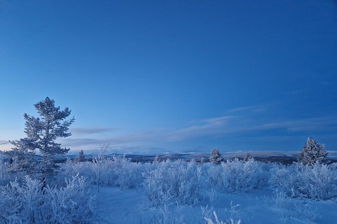 Snowshoe up a Mountain - Reaching the top for Kiruna’s changing winter light