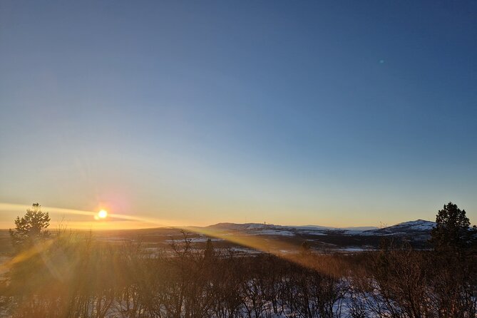 Snowshoe up a Mountain - The return walk and the value of a guide