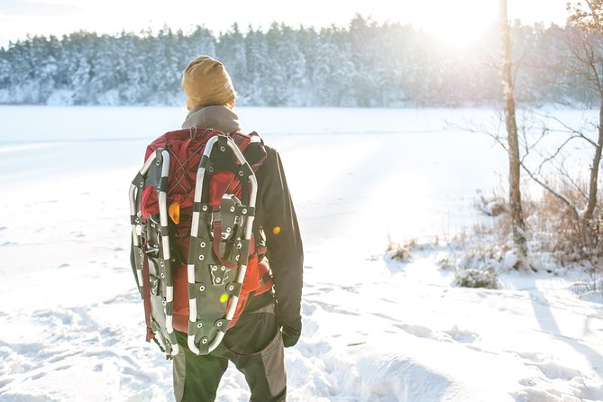 Snowshoe Winter Hike from Stockholm - Key points to know before booking