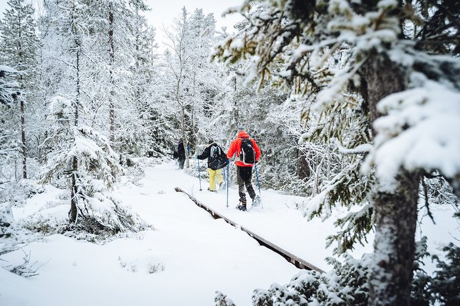 Snowshoe Winter Hike from Stockholm - Leaving Stockholm for a winter forest