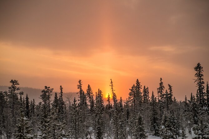 Snowshoe Winter Hike from Stockholm - Frozen lakes and careful winter travel