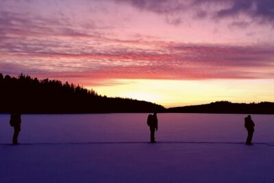 Snowshoe Winter Hike from Stockholm