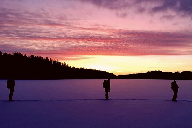 Snowshoe Winter Hike from Stockholm - A steady walk through Swedish woodland