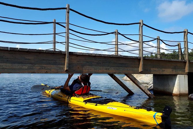 Stockholm Archipelago Kayaking Day Tour - Weather, Fitness, and Group Size