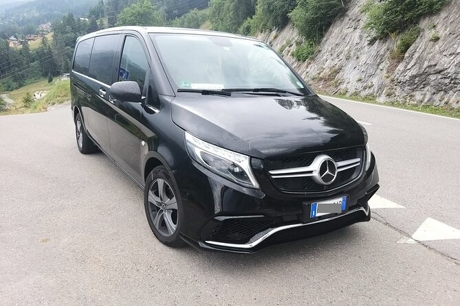 Stockholm Arlanda Airport (ARN) to Stockholm City - Round-Trip Private Transfer - Vehicle comfort and luggage planning