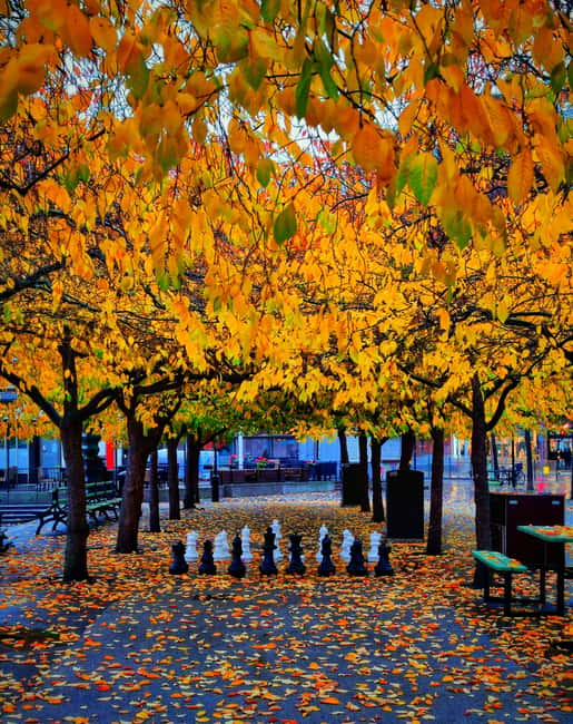Stockholm City Center: Kungsträdgården Norrmalm Guided Tour - Key points to know before booking
