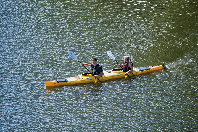 Stockholm City Evening Kayak Tour - What the guides add to the evening