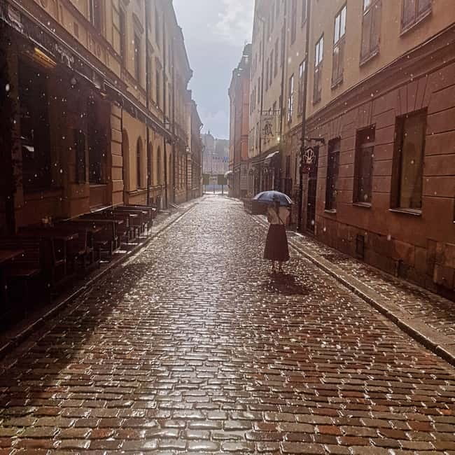 Stockholm City: Visit Icebar and Vasamuseum - From Djurgården to Old Town by ferry