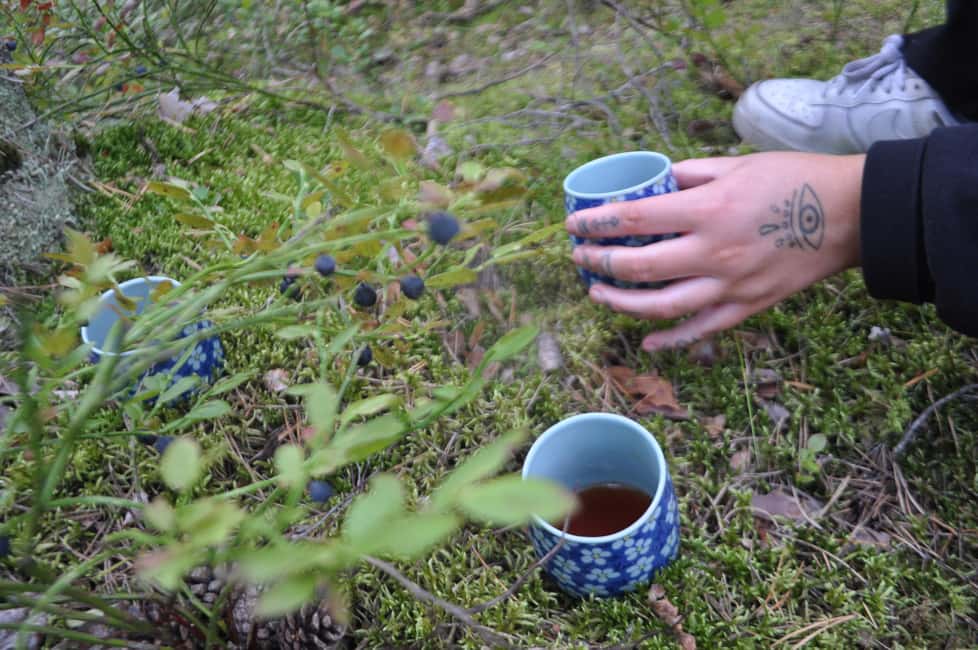 Stockholm: Dog Walk in Nature Reserve with Swedish Fika - Key details at a glance