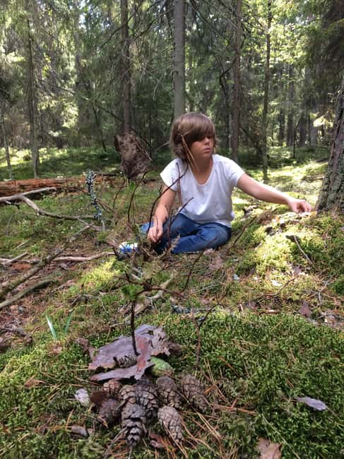 Stockholm: Dog Walk in Nature Reserve with Swedish Fika - Swedish fika beside the trees or lake