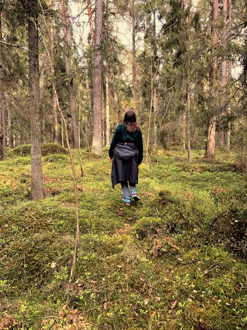 Stockholm: Dog Walk in Nature Reserve with Swedish Fika - Meeting Signe and Lavender at the forest edge