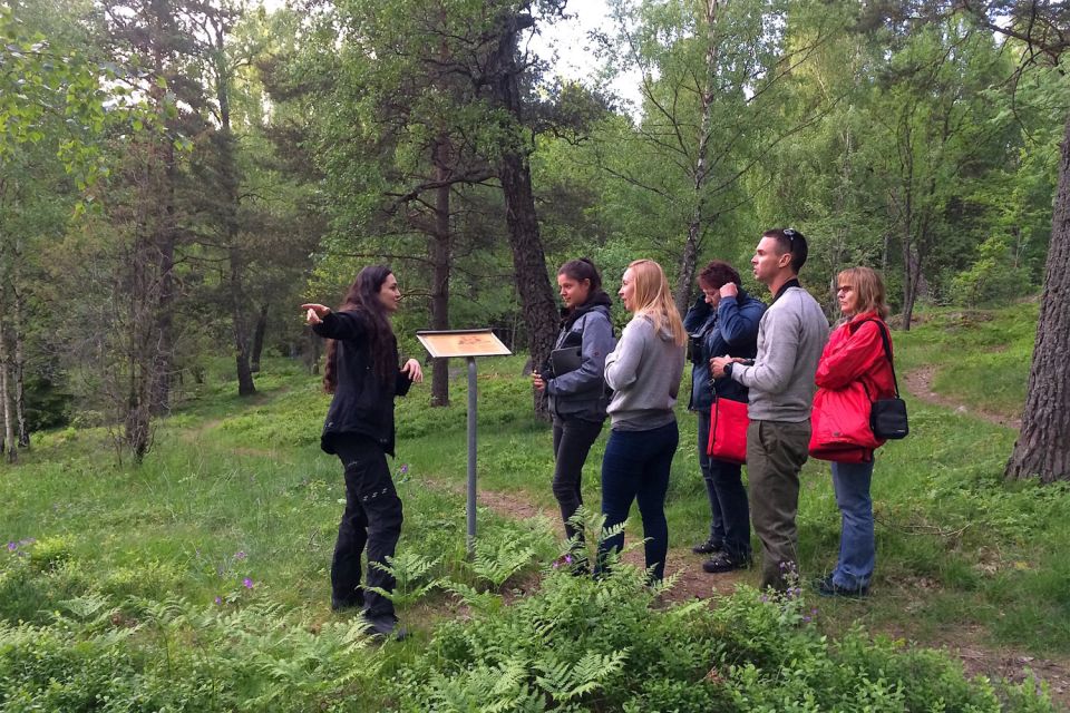 Stockholm: Evening Wildlife Safari with Midsummer Meal - Is $177 a fair price?