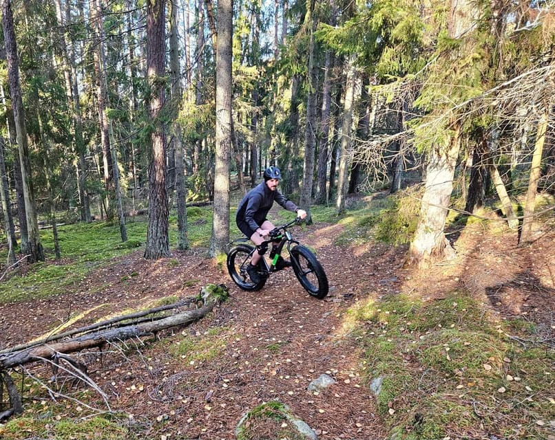 Stockholm: Fat Bike Forest Adventure with Lunch and Sauna - Timing, group size, and the $138 price