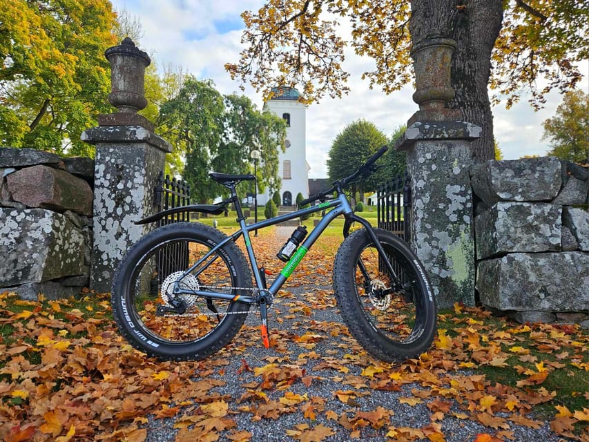 Stockholm: Fat Bike Forest Adventure with Lunch and Sauna - Who will enjoy this most?