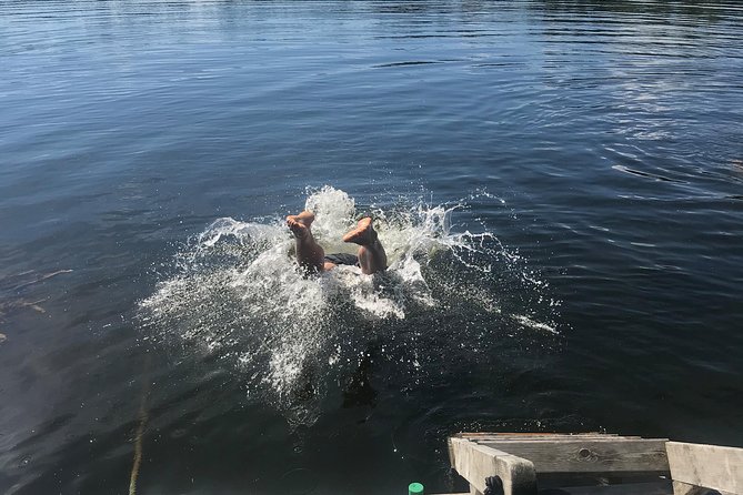 Stockholm Fire and Ice Tour! Dive into Swedish lifestyle! - From city views to a quieter natural setting