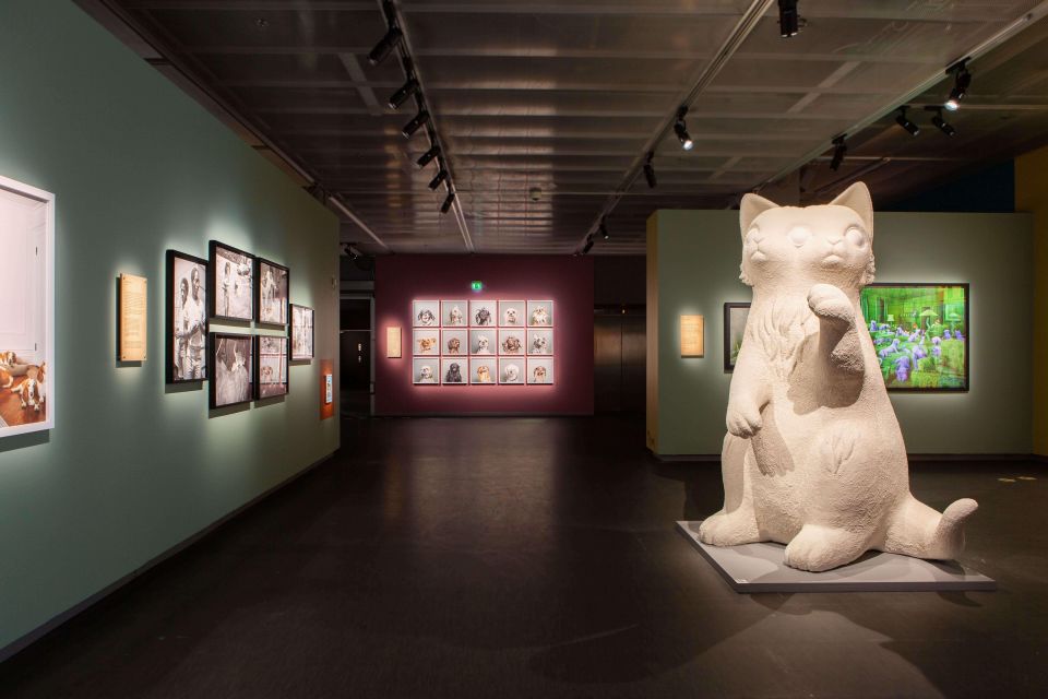 Stockholm: Fotografiska Museum Entrance Ticket - Is $22 a fair price?