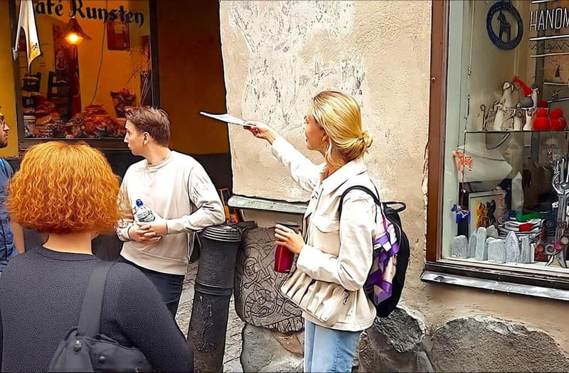 Stockholm Gamla Stan: Old Town Walking Tour with Local Guide - Narrow lanes and medieval Stockholm