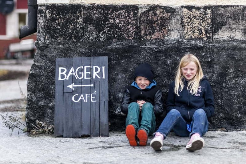 Stockholm: Highlights Guided Walking Tour - Djurgården, the city’s national park