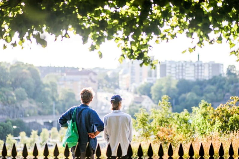Stockholm: Highlights Guided Walking Tour - How much walking happens in two hours