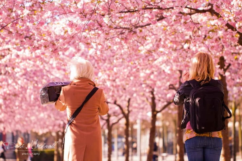 Stockholm: Highlights Guided Walking Tour - Why a city built on 14 islands needs a guide