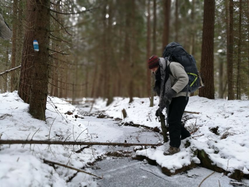Stockholm: Nature Hike with Campfire Lunch - Walking beyond the usual forest paths