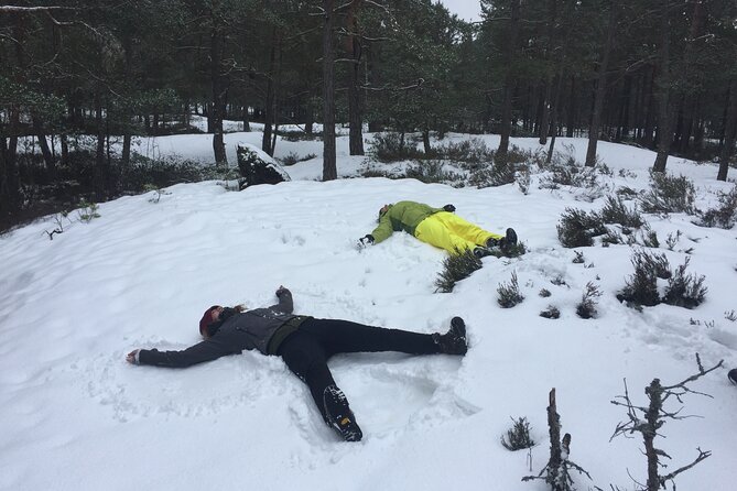 Stockholm: Nature Reserve Hiking Tour with Campfire Lunch - Key points to know before you book