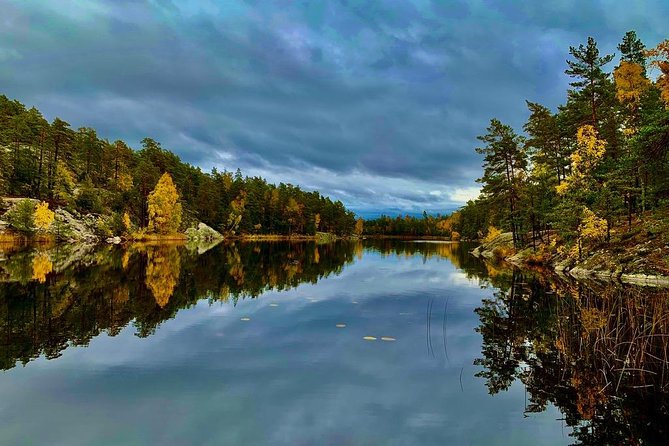 Stockholm: Nature Reserve Hiking Tour with Campfire Lunch - A second two-hour walk and a quiet return