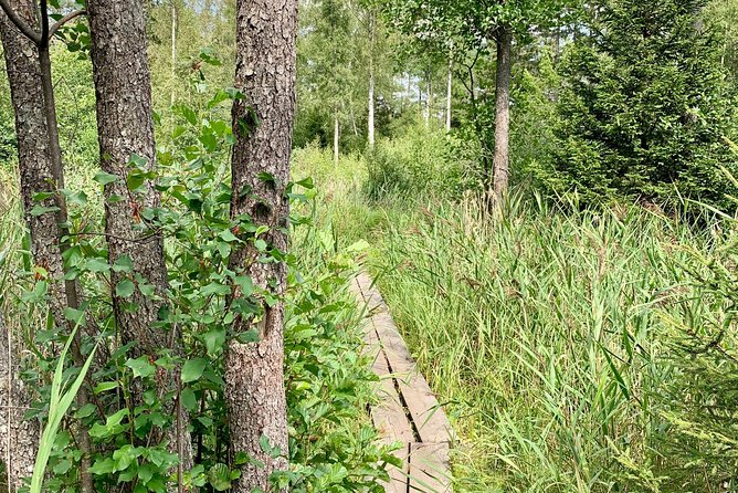 Stockholm: Nature Reserve Hiking Tour with Campfire Lunch - Who will enjoy this hike most